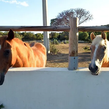 Kompleks wypoczynkowy Village Naturiste La Chiappa Porto-Vecchio (Corsica)