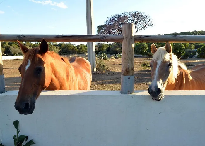 假日公园 Village Naturiste La Chiappa 维琪奥港
